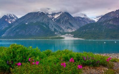 Tripps Now Reviews Vacationing in Montana