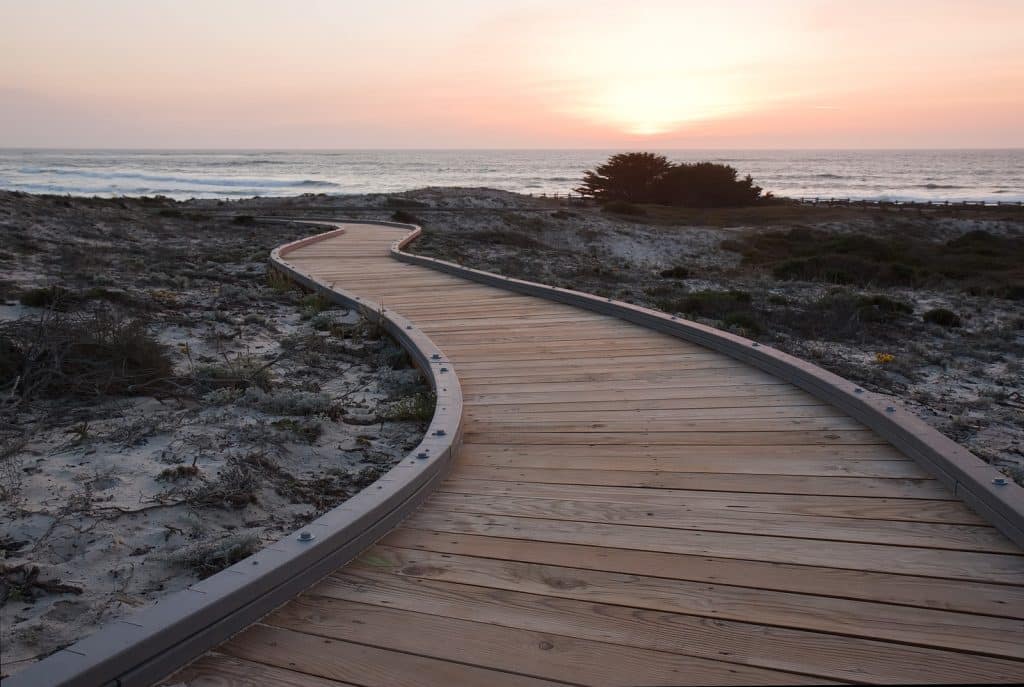 Tripps Now Reviews Winter US Beach Destinations (3)