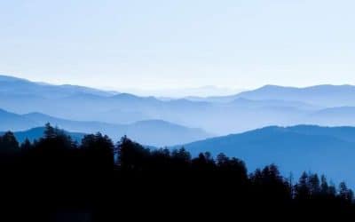 Tripps Now Reviews Pigeon Forge Mountain Family Days